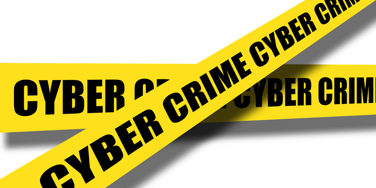 Is Your Business Insured for Cyber Theft? No? Read this!